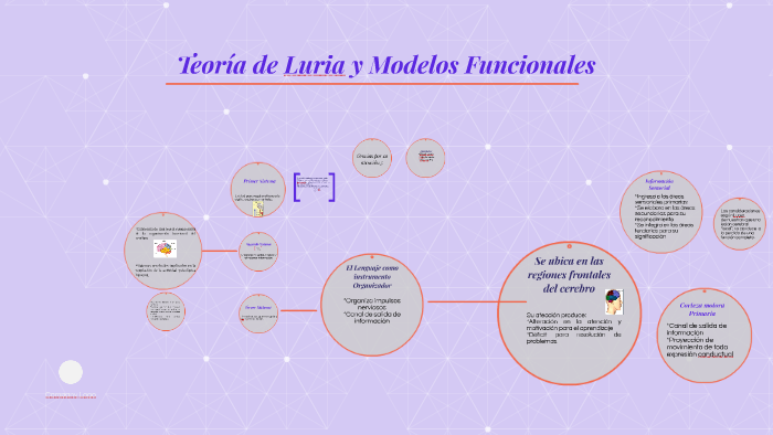 Teoría de Luria y Modelos Funcionales by Elizeth Angulo on Prezi