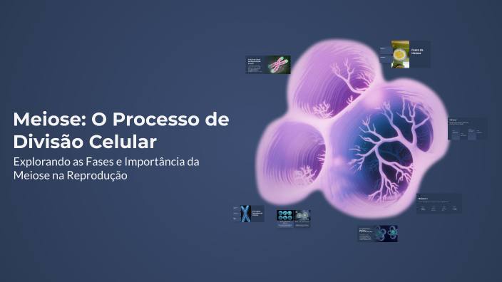 Meiose: O Processo de Divisão Celular by RIAN LOPES DA SILVA on Prezi