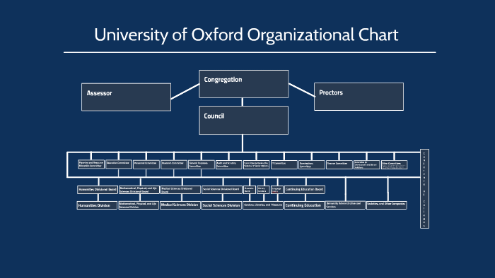 Unido Organizational Chart