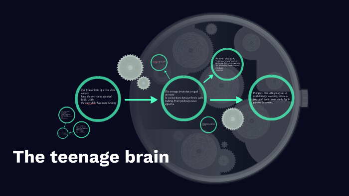 The teenage brain by ozzy barnett on Prezi