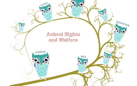 persuasive speech on animal rights