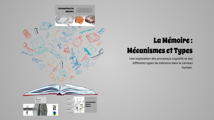 La Mémoire : Mécanismes et Types by Dju Lai on Prezi