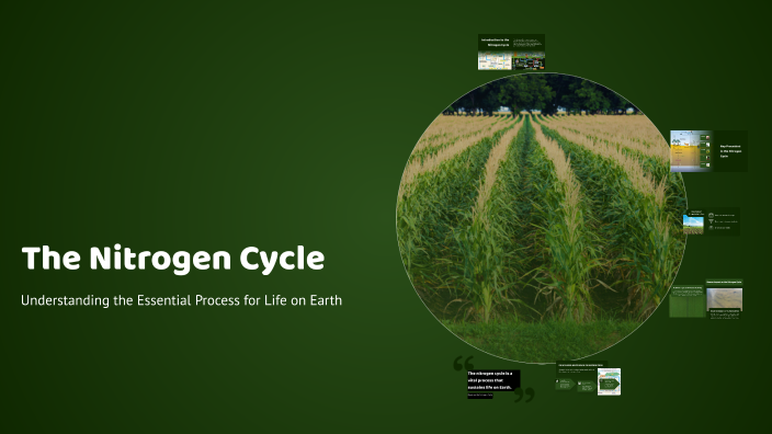 The Nitrogen Cycle by Arjola Goxharaj on Prezi