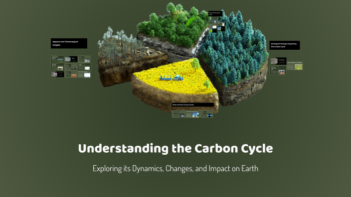 Understanding the Carbon Cycle by Yvonne Lin on Prezi