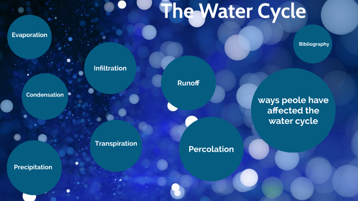 The Water Cycle by will craig on Prezi