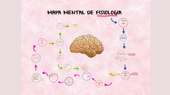 MAPA MENTAL DE FISIOLOGIA by Júlia Guimarães S. on Prezi Next