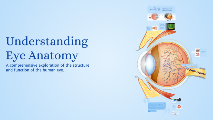 Understanding Eye Anatomy by Noor on Prezi