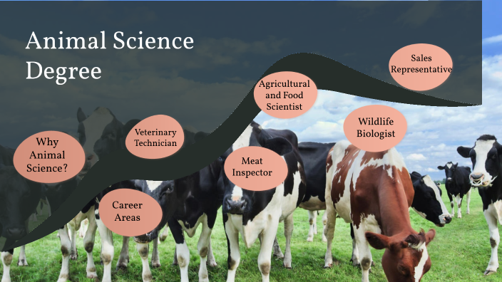 animal-science-degree-by-rebekah-rushly-on-prezi