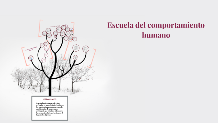 Escuela Del Comportamiento Humano By Rubi Espinosa On Prezi 3670