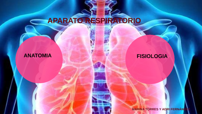 Aparato Respiratorio By Marina Torres Martí On Prezi