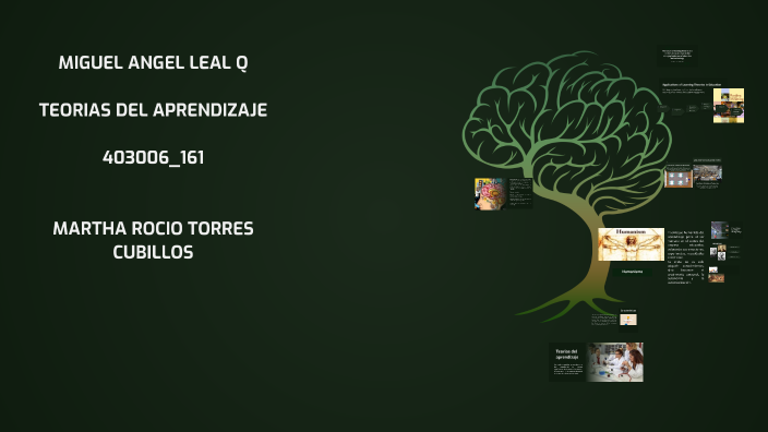 Theories of Learning by Miguel Rodriguez on Prezi
