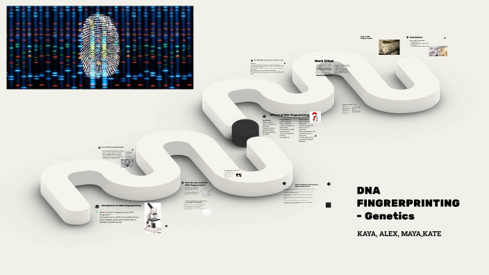 DNA FINGERPRINTING- Genetic view by Katelyn Finlay on Prezi