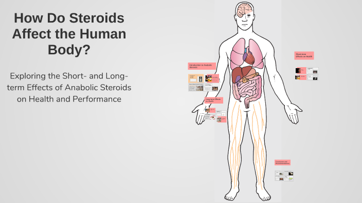 How Do Steroids Affect the Human Body? by jack hente on Prezi