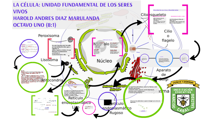 La célula: unidad fundamental de los seres vivos by Harold Marulanda