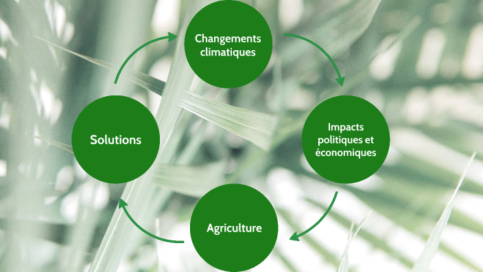 Impact du climat sur l'agriculture by Maryam Mghafri on Prezi