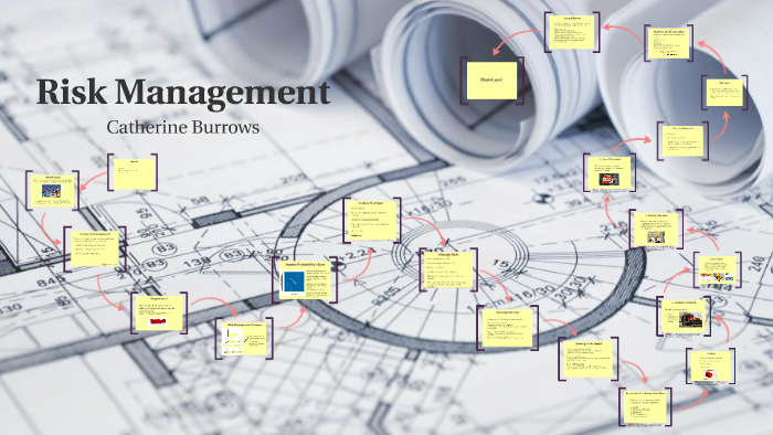Risk Management by on Prezi