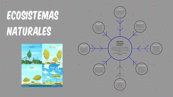 ecosistemas naturales primer trimestre by SANCHEZ SILVA SANTIAGO on Prezi