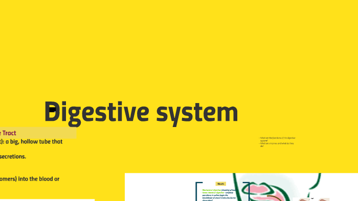 Digestive system by on Prezi