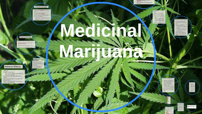 Medicinial Mirijuana by Hifza K on Prezi Next