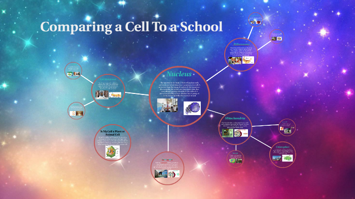 Comparing a Cell To a School by Rayhana Yadgar on Prezi