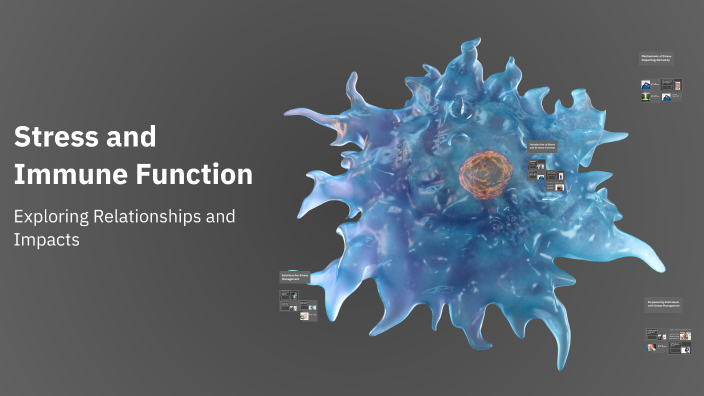 Stress and Immune Function by Fatima Almarzooqi on Prezi