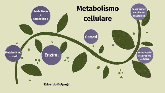 Metabolismo Cellulare By Edoardo Bolpagni On Prezi 8884