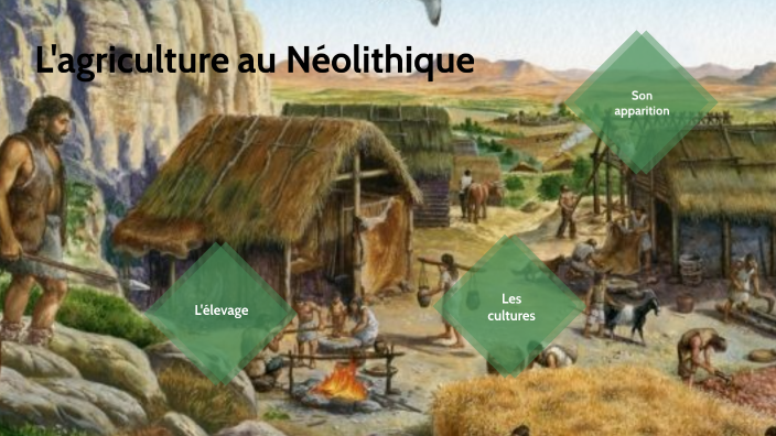 l'agriculture au Néolithique by Eugenie Berland on Prezi