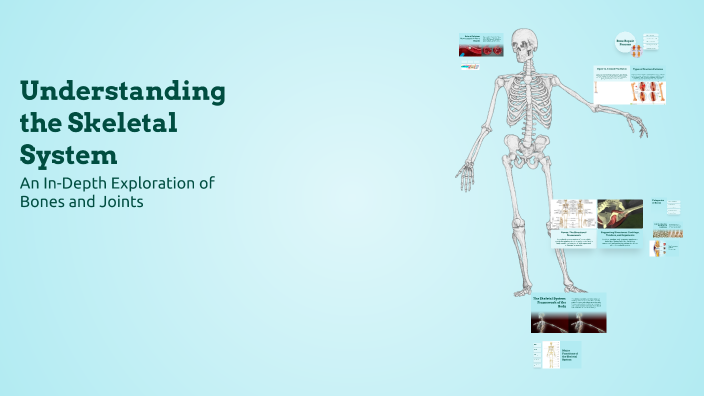 Understanding the Skeletal System by Emjhay De Guzman Salonga on Prezi