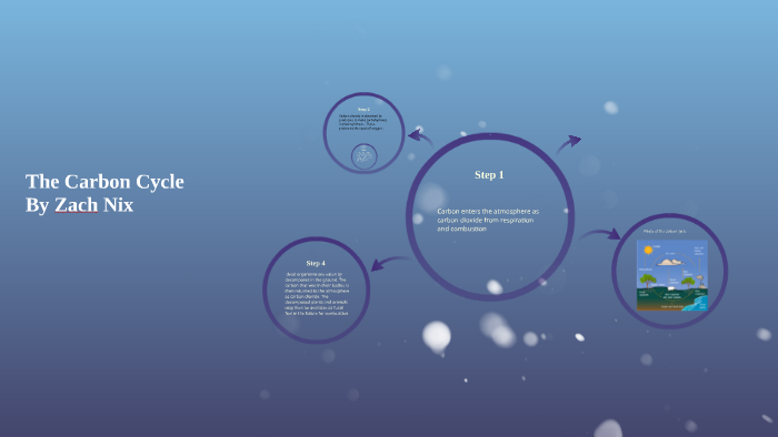 The Carbon Cycle by Zach Nix on Prezi