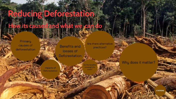 Reducing Deforestation by Amyna Alsaidy on Prezi