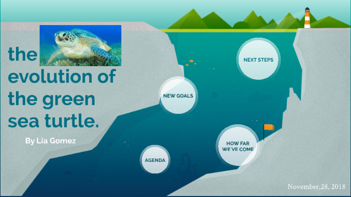 evolution of the green sea turtle by dalia gomez on Prezi
