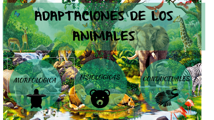 Adaptación de los Animales by Sarly Karina Guzman on Prezi