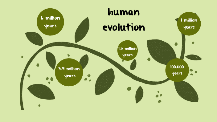 human evolution by Sara Barbosa on Prezi