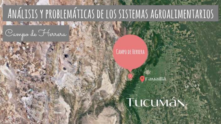 Campo de Herrera by Rufina Bonadeo on Prezi