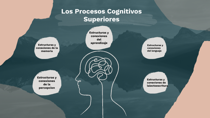 Los Procesos Cognitivos Superiores By Carla Muñoz Davila On Prezi 2830