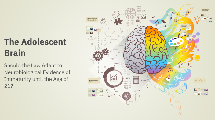The Adolescent Brain by Rimsha Ahmed on Prezi
