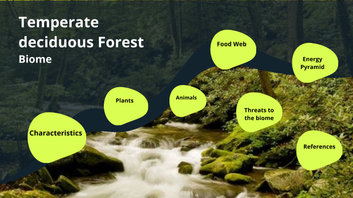 Temperate Deciduous Forest Biome By BRIELLE STARR On Prezi