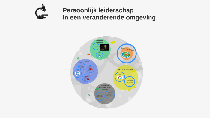 Persoonlijk Leiderschap By B Scholten On Prezi