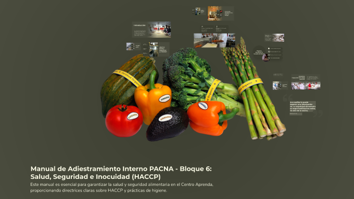 Manual de Adiestramiento Interno PACNA - Bloque 6: Salud, Seguridad e ...