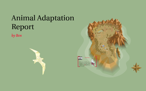 Adaptation Report Sample animal adaptation report by Ben Wilson on Prezi