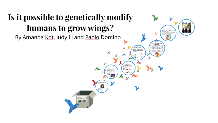 Is it possible to genetically modify humans to grow wings? by Amanda ...