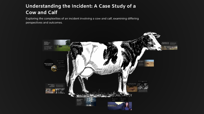 Understanding the Incident: A Case Study of a Cow and Calf by Z ...
