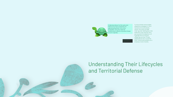 Turtles Reproduction and Habits by Tayshawn Brooks on Prezi