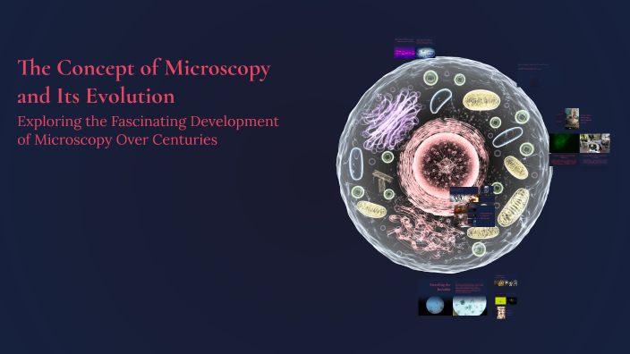 The Concept of Microscopy and Its Evolution by Ahmed Ibrahim 2421014649 ...