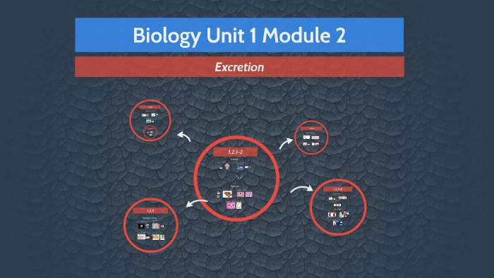 Biology Unit 1 Module 2 by Mikaela Smith on Prezi