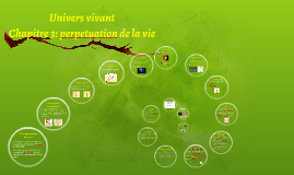 Profile Page for Abdelaziz Larab | Prezi