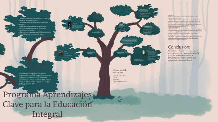 Programa Aprendizajes Clave para la Educación Integral by Liliana Perez ...