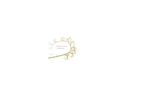 The Digestive System by Viktoria Garcia on Prezi