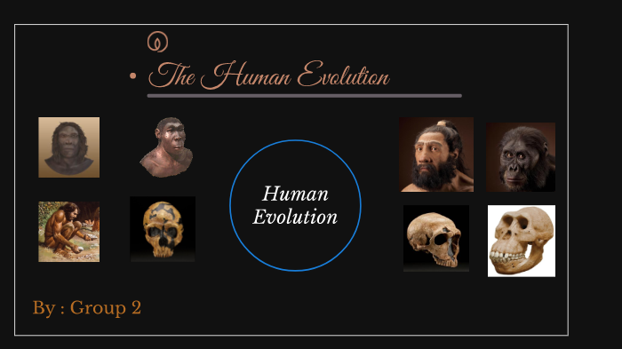 Human Evolution by Gregg Jamen on Prezi