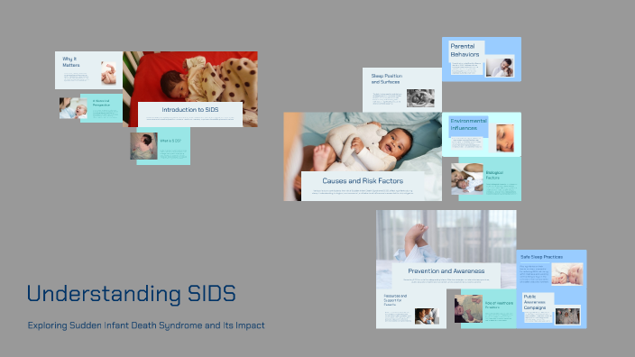 Understanding SIDS by Caroline Smith on Prezi
